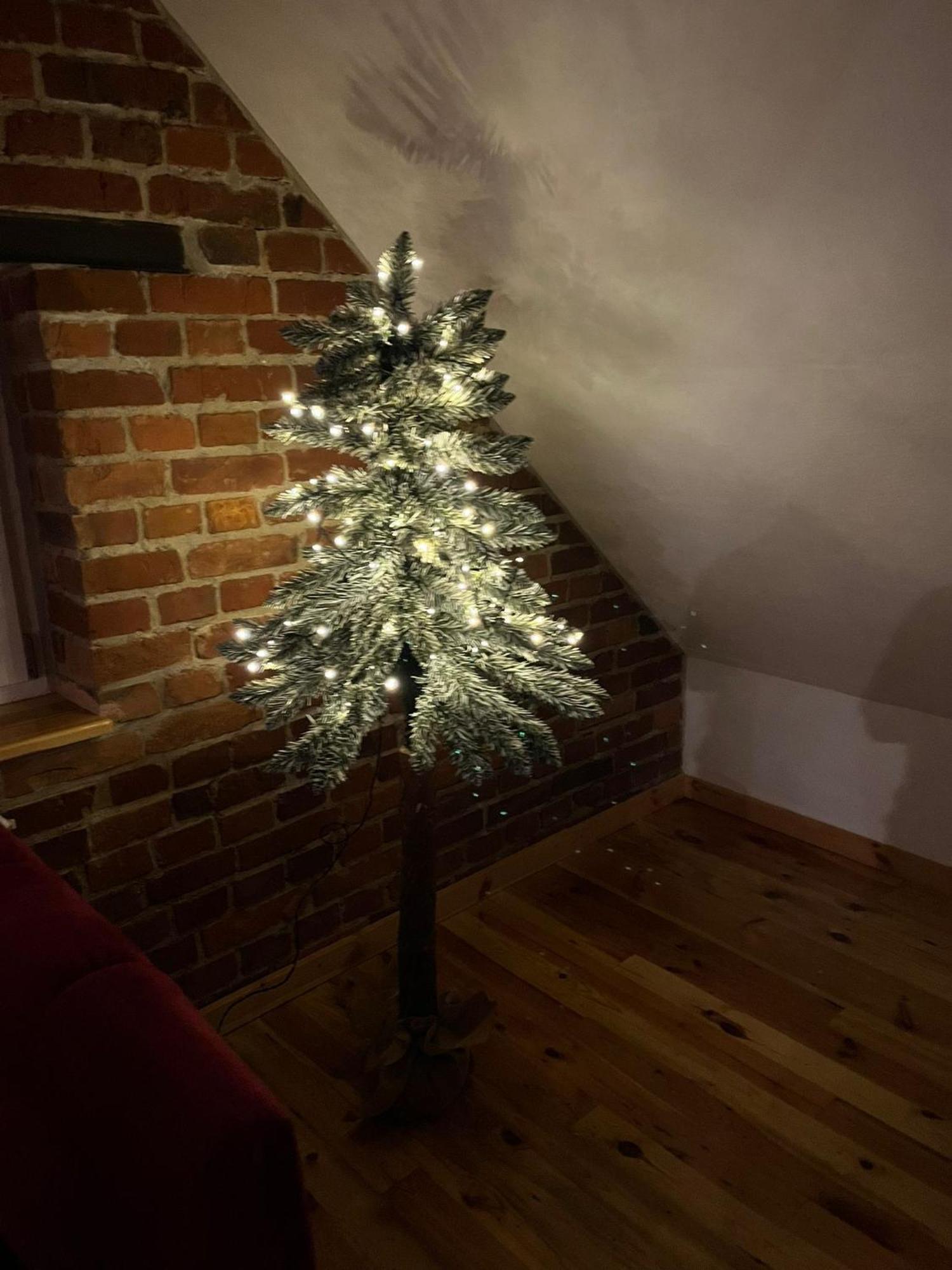 Apartament Relax Stary Toruń Zewnętrze zdjęcie